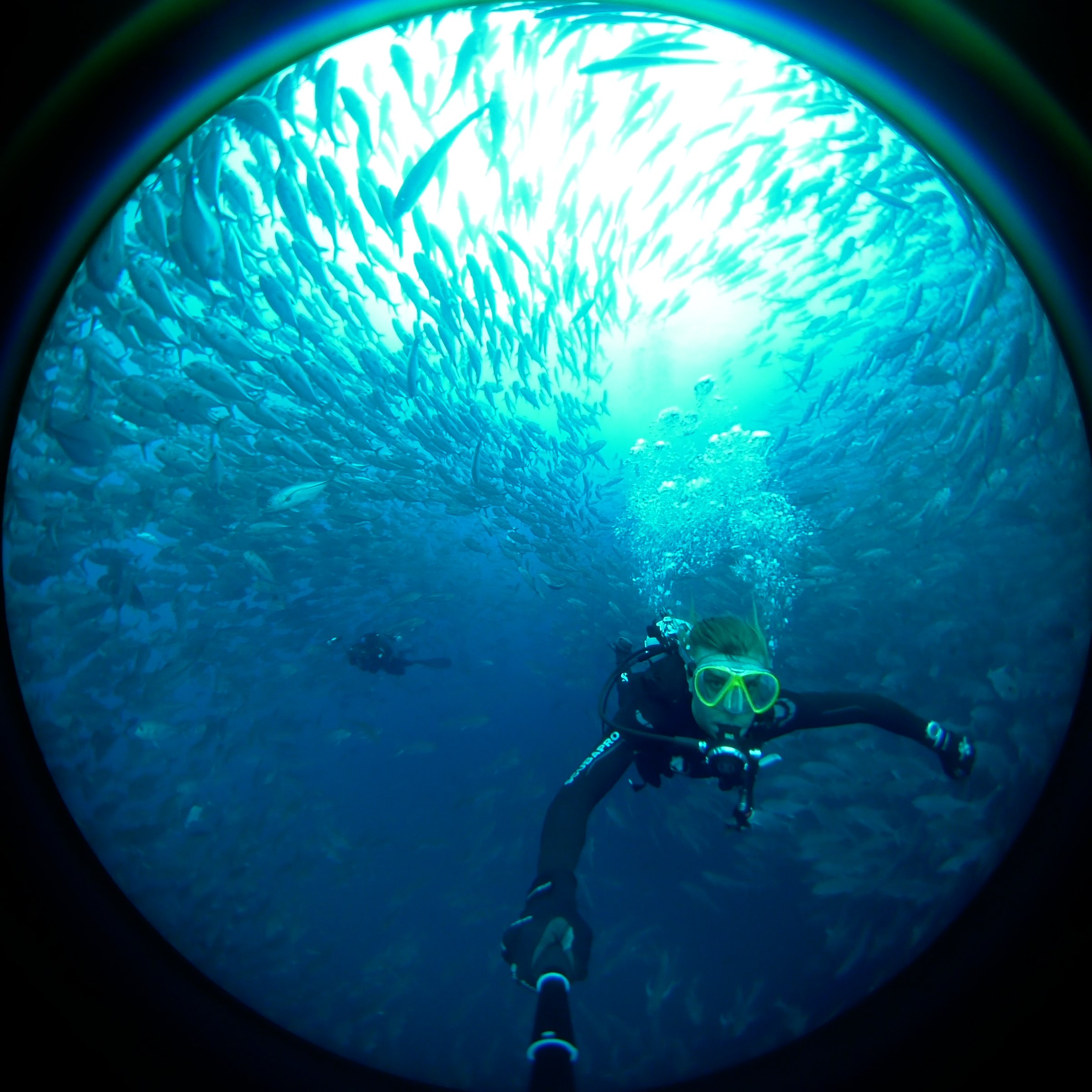 Brett DP's scuba expedition to Palau for The Nature Conservancy